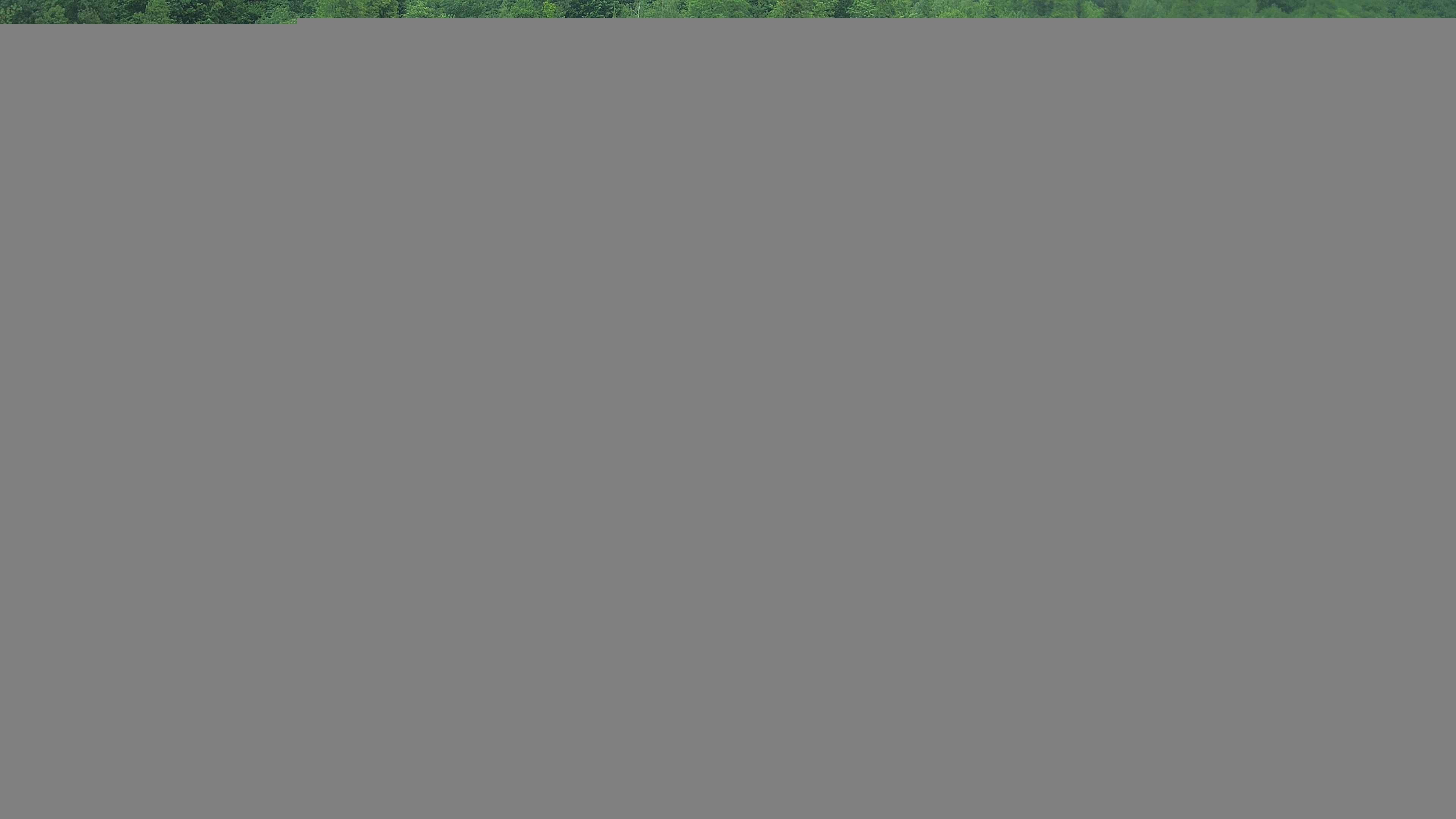 Archiv Foto Webcam Camping Aufenfeld - Appartements