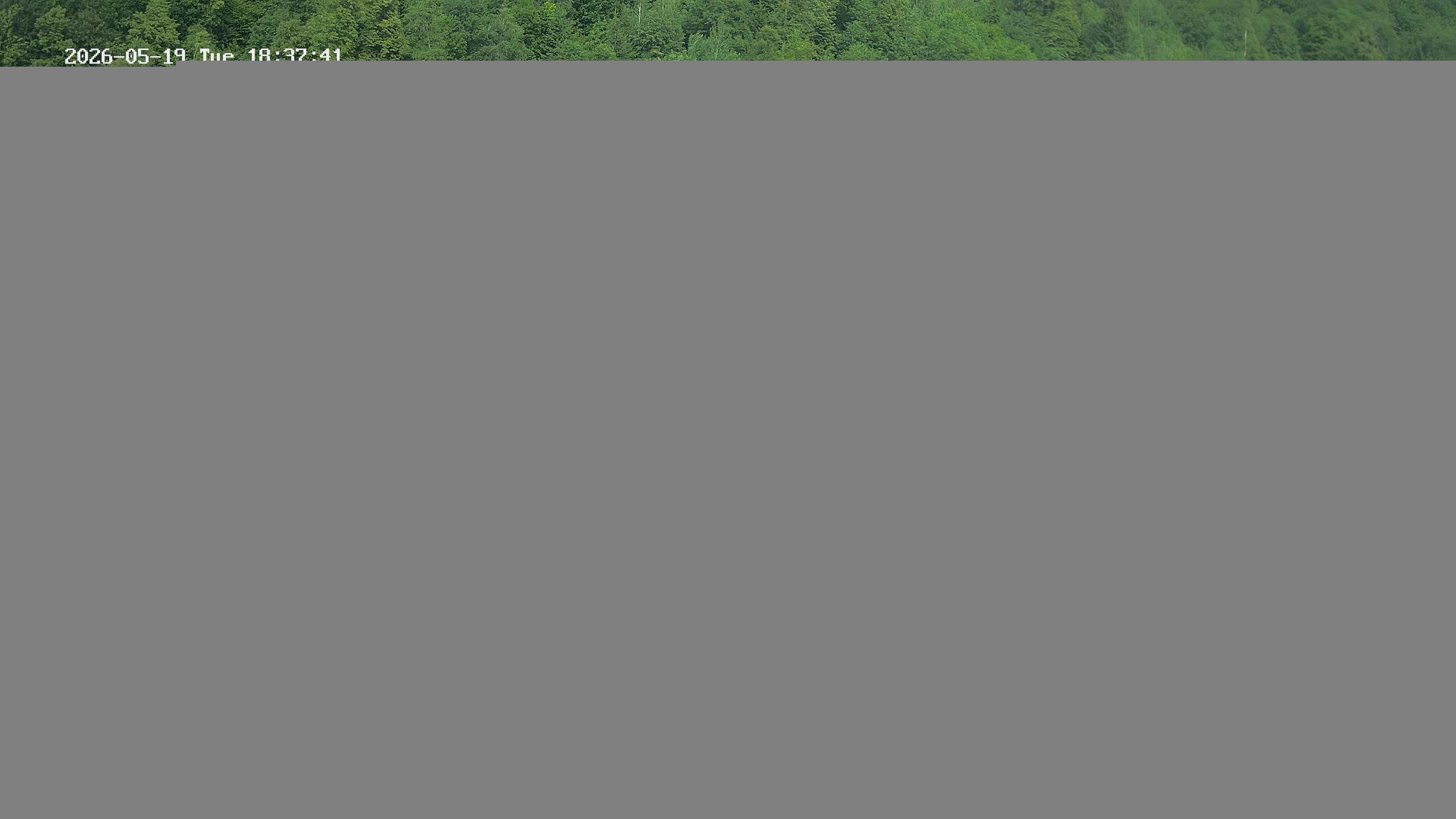 Archiv Foto Webcam Camping Aufenfeld - Appartements