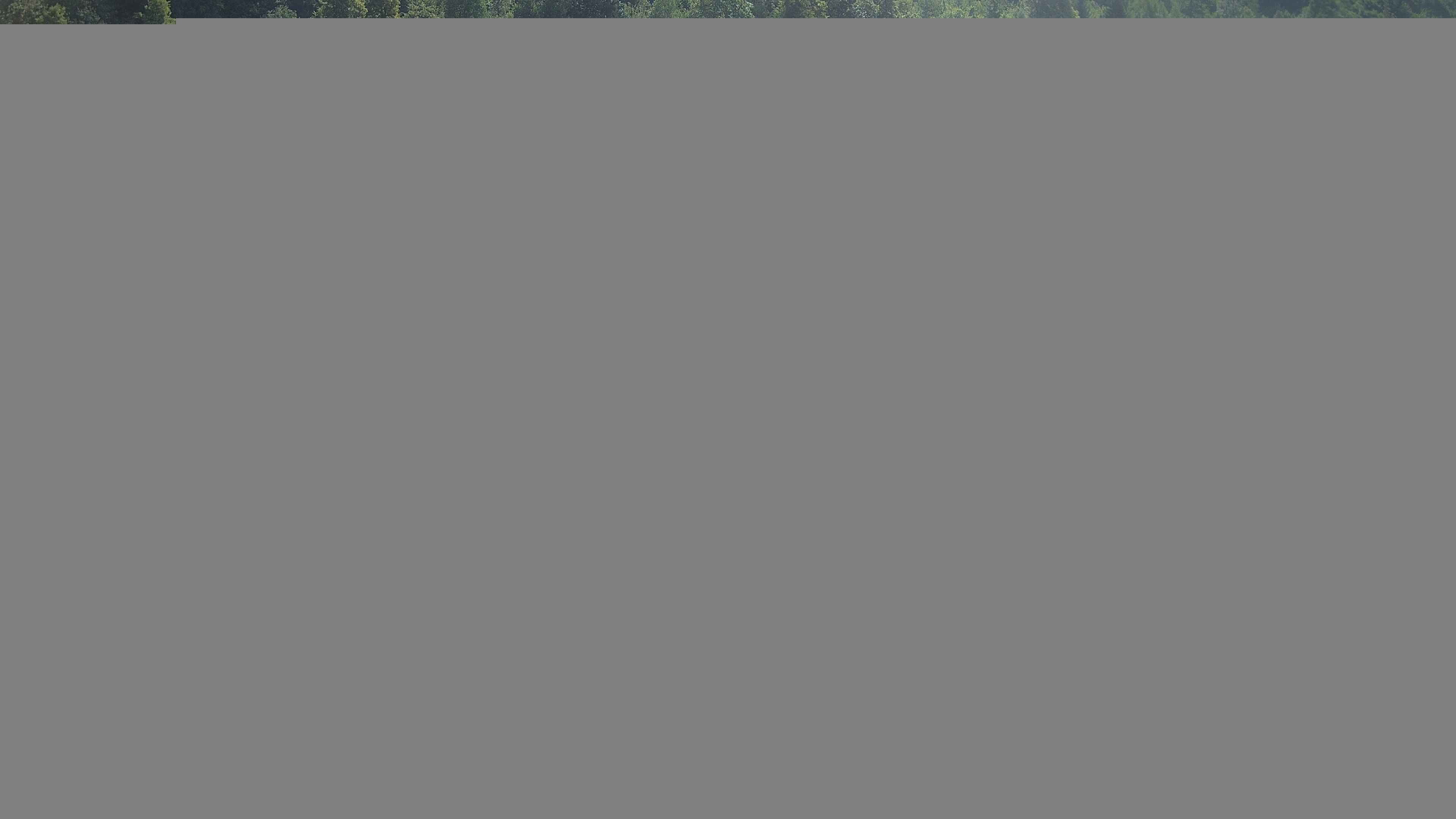 Archiv Foto Webcam Camping Aufenfeld - Appartements