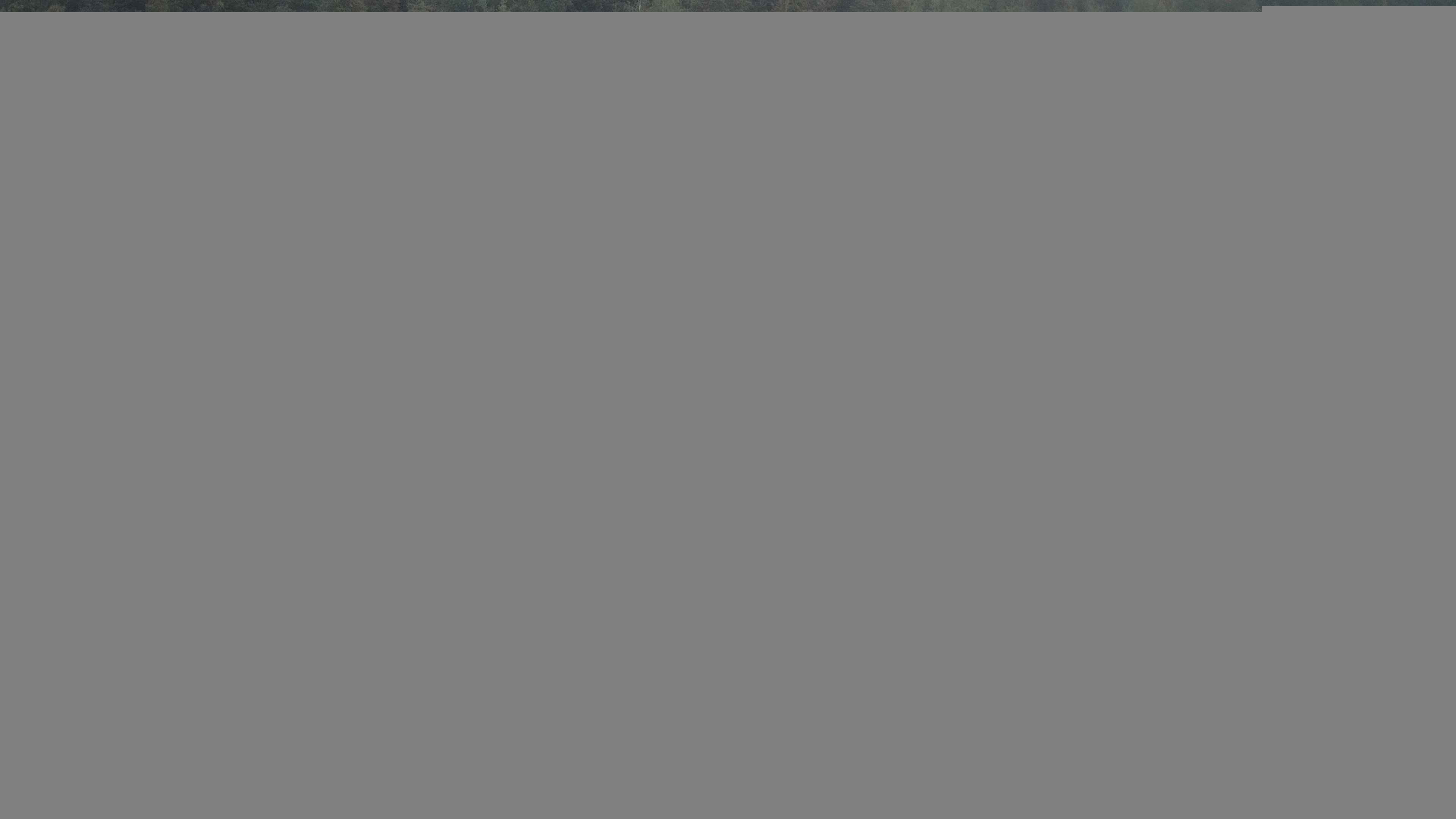 Archiv Foto Webcam Camping Aufenfeld - Appartements