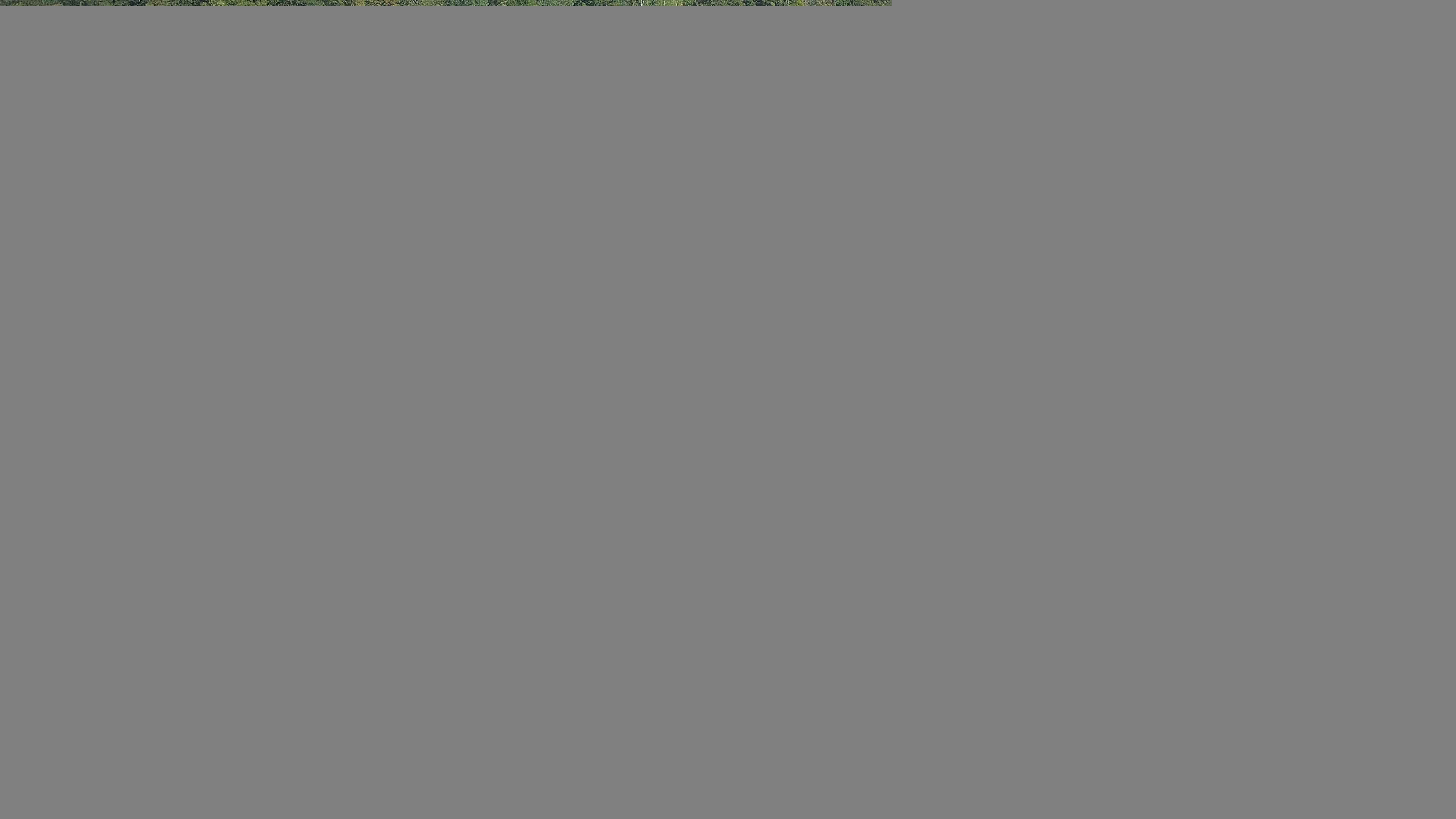 Archiv Foto Webcam Camping Aufenfeld - Appartements
