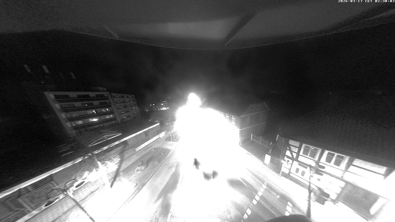 Archiv Foto Webcam Blick über Walsrode