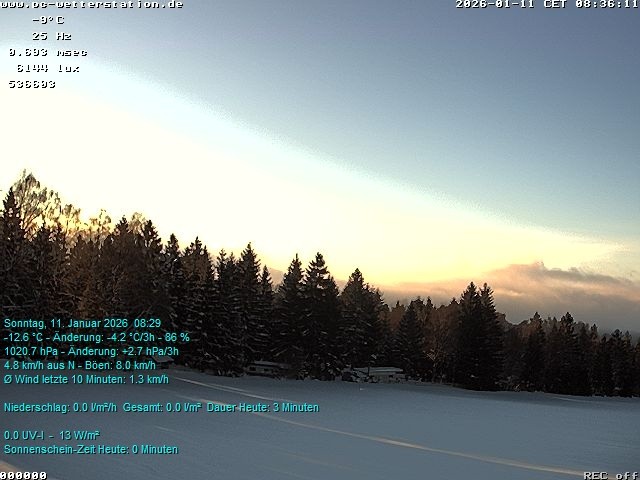 Archiv Foto Webcam der Ferienwohnung Thieme