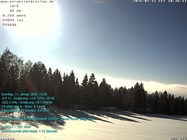 Archiv Foto Webcam der Ferienwohnung Thieme