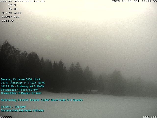 Archiv Foto Webcam der Ferienwohnung Thieme