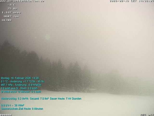 Archiv Foto Webcam der Ferienwohnung Thieme