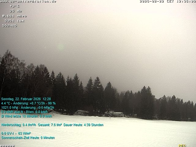 Archiv Foto Webcam der Ferienwohnung Thieme