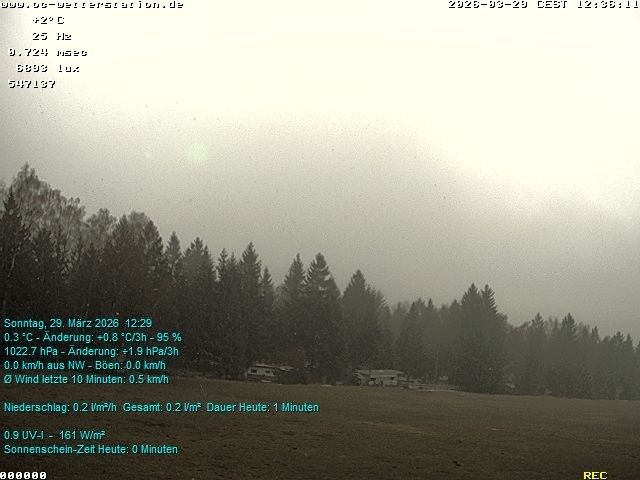 Archived image Webcam in Lackenhäuser