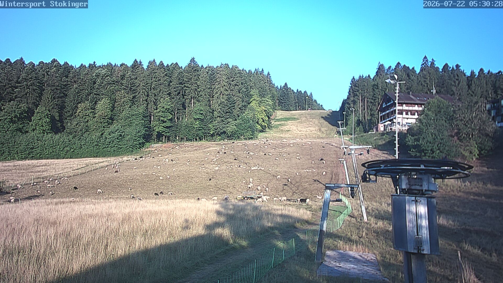 Archiv Foto Webcam Freudenstadt-Lauterbad