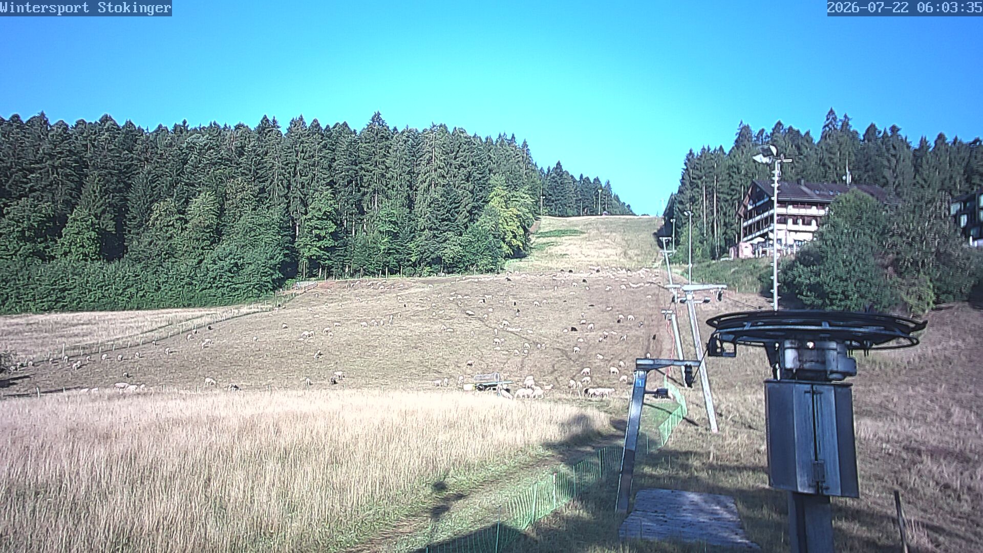 Archiv Foto Webcam Freudenstadt-Lauterbad