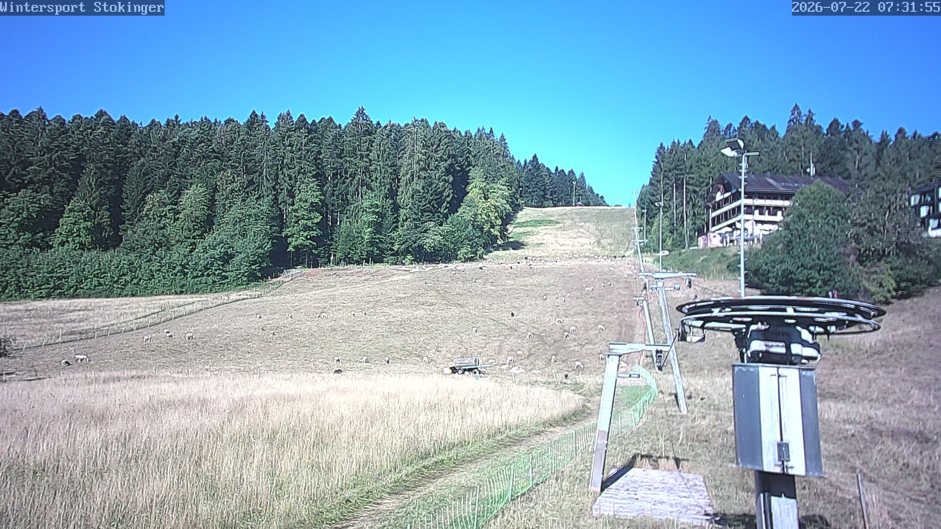 Archiv Foto Webcam Freudenstadt-Lauterbad