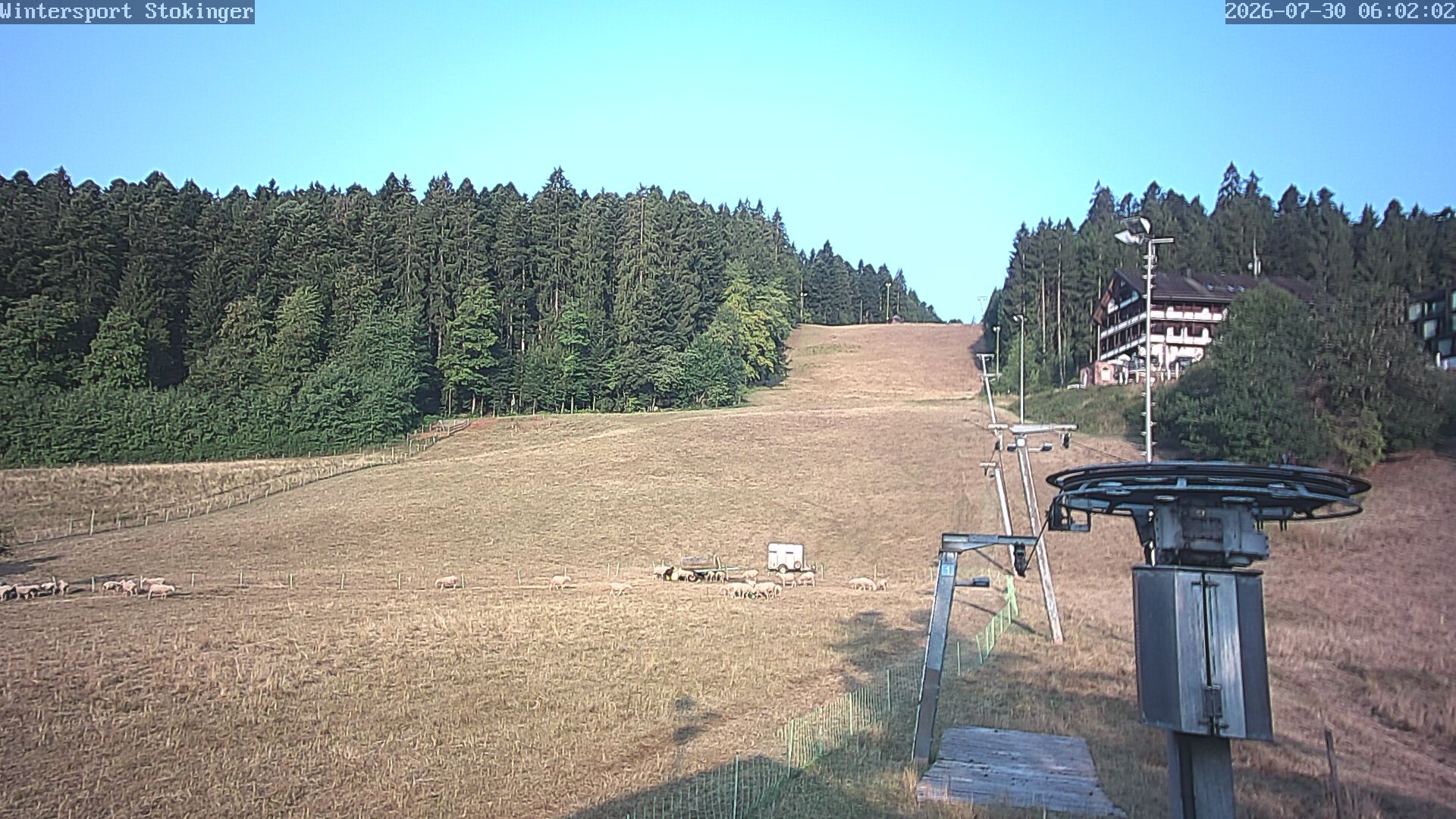 Archiv Foto Webcam Freudenstadt-Lauterbad
