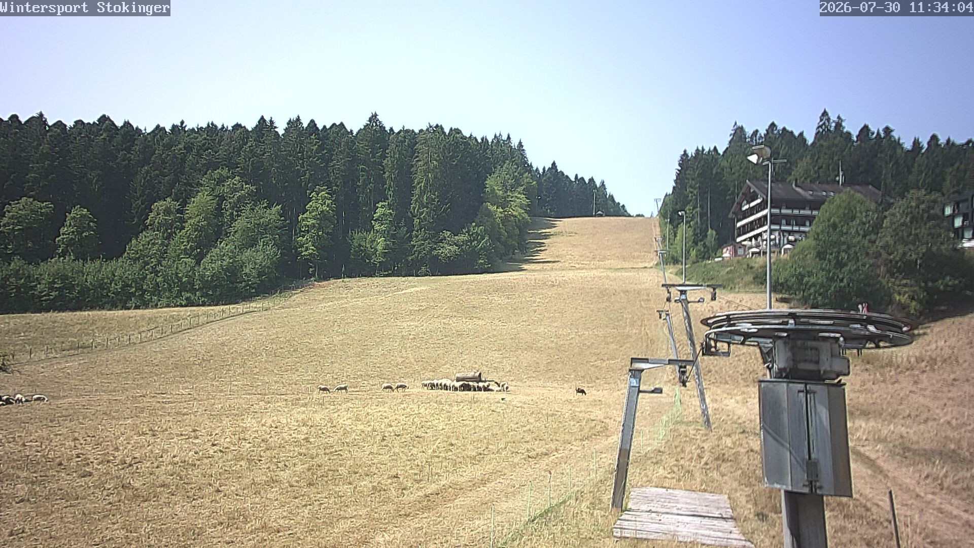 Archiv Foto Webcam Freudenstadt-Lauterbad