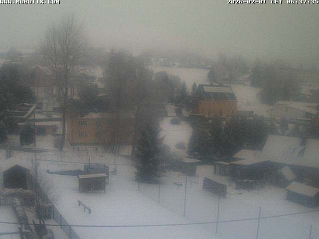 Archiv Foto Webcam Bärenstein am Pöhlbach