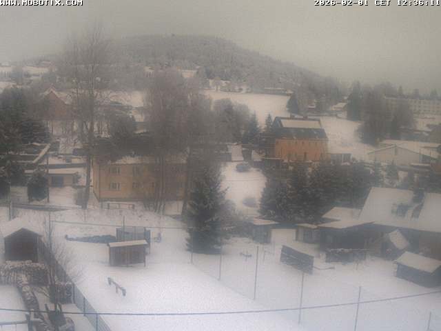Archiv Foto Webcam Bärenstein am Pöhlbach