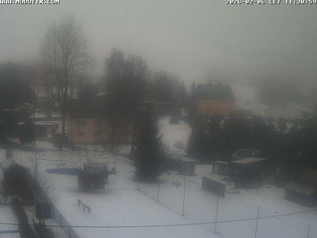 Archiv Foto Webcam Bärenstein am Pöhlbach