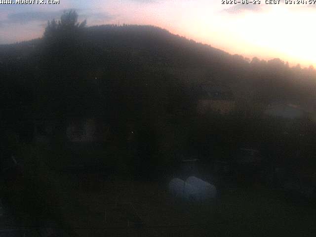 Archiv Foto Webcam Bärenstein am Pöhlbach