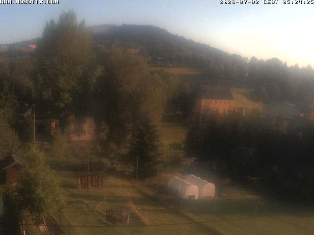 Archiv Foto Webcam Bärenstein am Pöhlbach