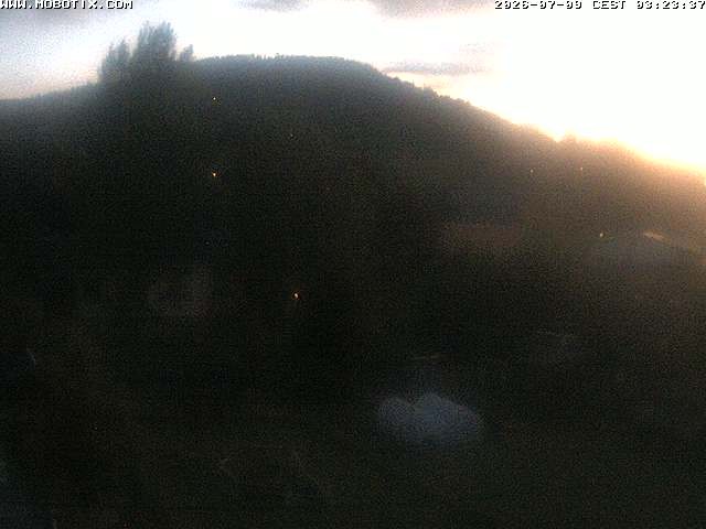 Archiv Foto Webcam Bärenstein am Pöhlbach