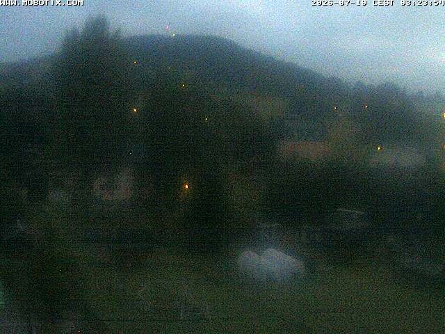 Archiv Foto Webcam Bärenstein am Pöhlbach