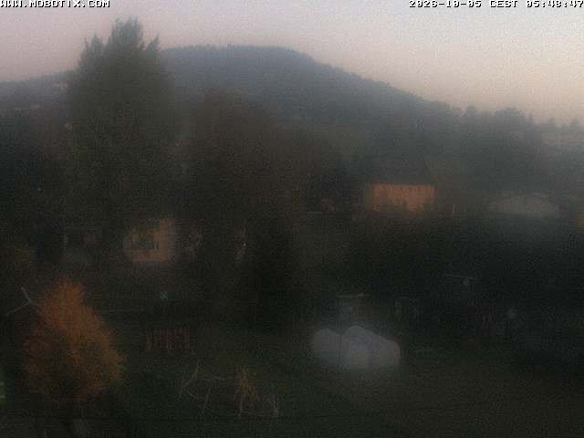 Archiv Foto Webcam Bärenstein am Pöhlbach