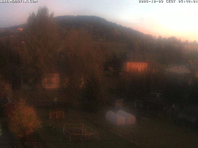 Archiv Foto Webcam Bärenstein am Pöhlbach