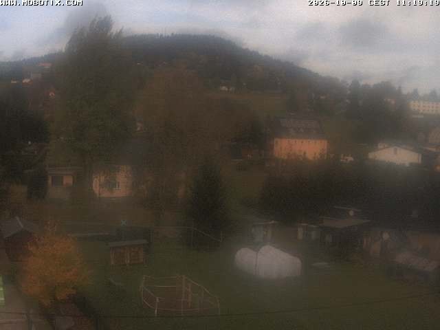 Archiv Foto Webcam Bärenstein am Pöhlbach