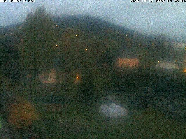 Archiv Foto Webcam Bärenstein am Pöhlbach