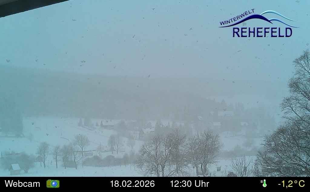 Archived image Webcam Winter World Rehefeld