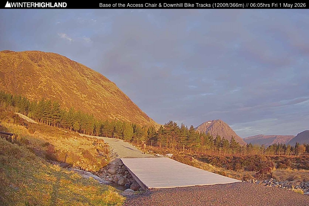 Archived image Webcam Glencoe Mountain - Base Cafe