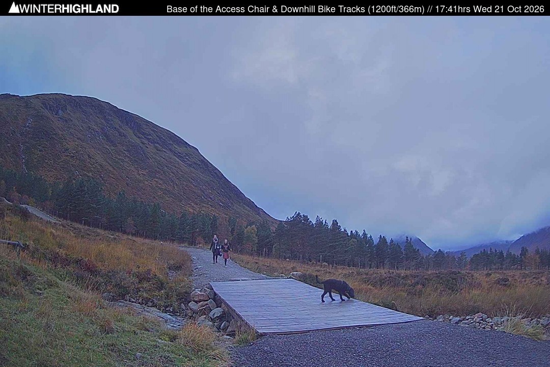 Archived image Webcam Glencoe Mountain - Base Cafe