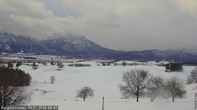 Archiv Foto Webcam Forggensee - Blick vom Berghof Kinker