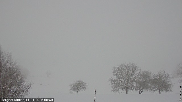 Archiv Foto Webcam Forggensee - Blick vom Berghof Kinker