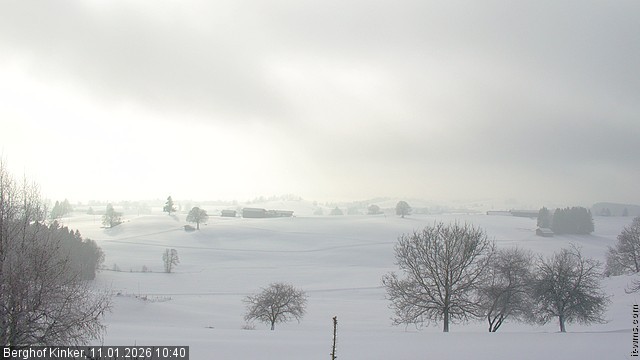 Archiv Foto Webcam Forggensee - Blick vom Berghof Kinker