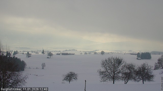 Archiv Foto Webcam Forggensee - Blick vom Berghof Kinker