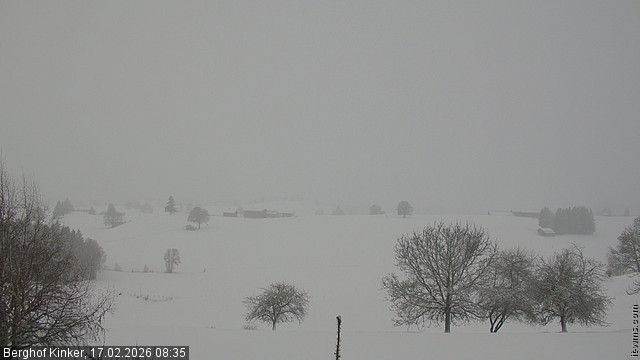 Archiv Foto Webcam Forggensee - Blick vom Berghof Kinker