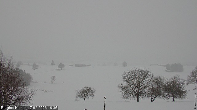 Archiv Foto Webcam Forggensee - Blick vom Berghof Kinker