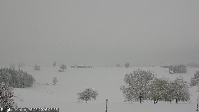 Archived image Webcam Lake Forggen - View from vacation home Kinker