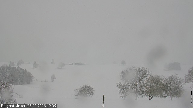 Archived image Webcam Lake Forggen - View from vacation home Kinker