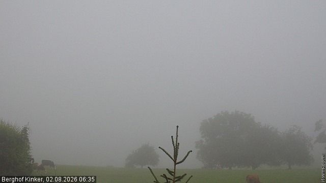 Archiv Foto Webcam Forggensee - Blick vom Berghof Kinker