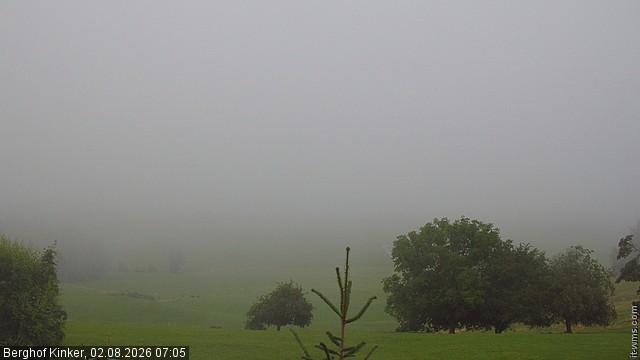 Archiv Foto Webcam Forggensee - Blick vom Berghof Kinker