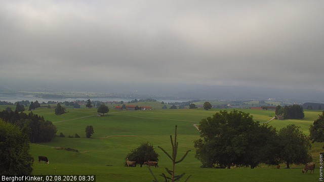 Archiv Foto Webcam Forggensee - Blick vom Berghof Kinker