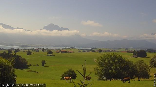 Archiv Foto Webcam Forggensee - Blick vom Berghof Kinker