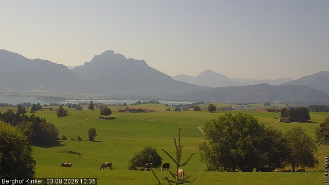 Archiv Foto Webcam Forggensee - Blick vom Berghof Kinker