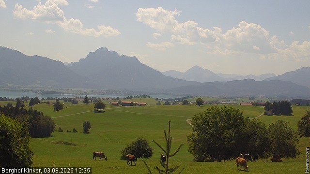 Archiv Foto Webcam Forggensee - Blick vom Berghof Kinker