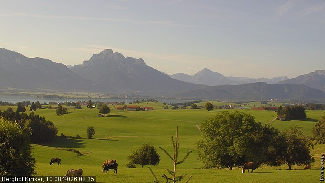 Archiv Foto Webcam Forggensee - Blick vom Berghof Kinker