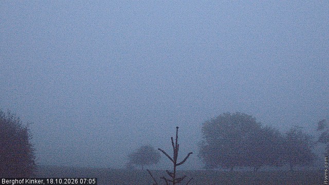 Archiv Foto Webcam Forggensee - Blick vom Berghof Kinker