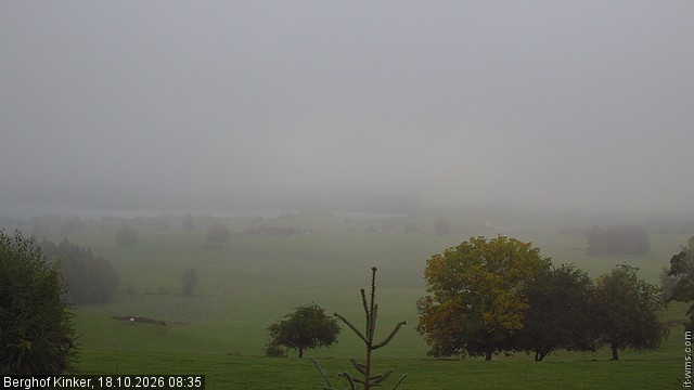 Archiv Foto Webcam Forggensee - Blick vom Berghof Kinker