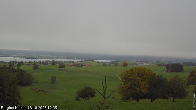 Archiv Foto Webcam Forggensee - Blick vom Berghof Kinker