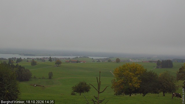 Archiv Foto Webcam Forggensee - Blick vom Berghof Kinker